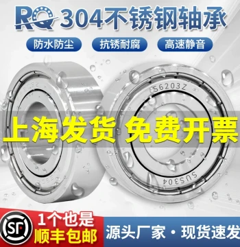 304 Stainless Steel Bearings S6200 Waterproof 6201 Corrosion-Resistant 6202 6204 6300 6301 6001 6002Z