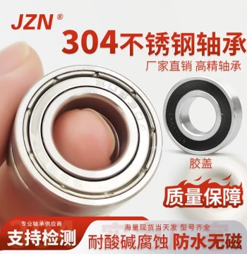 304 Stainless Steel Bearings S6200, 6201, 6202, 6203, 6204, 6205, 6206 with Steel/Rubber Shields