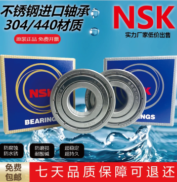 Stainless Steel Corrosion-Resistant Rust-Proof NSK Bearings S6200 6201 6202 6203 6204 6205 6206ZZ