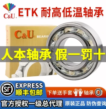 Authentic Renben ETK High/Low-Temperature Resistant Bearings: 6200, 6204, 6000, 6300RZ Series