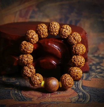 Large Vajra Bodhi Seed Bracelet for Men, Collectible Natural Taihang Yaku Cypress Accessory Handheld Meditation Buddha Beads Five-Section Raw Seeds