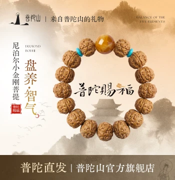 Putuo Mountain Nepal Small Vajra Bodhi Seed Bracelet Original Seeds Five-Petal Prayer Beads Men's Style Collectible Hand-Rubbed Bracelet Women's Style