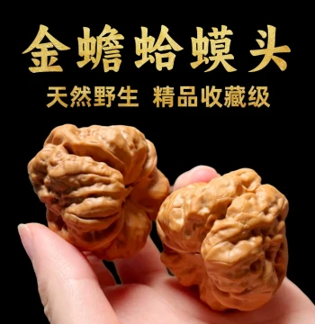 Shanzhongyu Toad Head Walnuts, Collectible Grade, Perfect Condition Unrepaired, Yanqing Huairou Natural Wild Premium Quality for Men