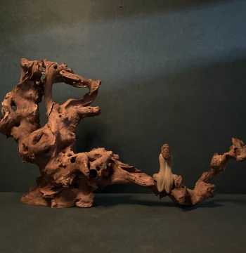 Natural Dead Wood Root Carving Tree Root Wenwan Bracelet Lamp Stand Root Carving Ornament Aquarium Driftwood Landscaping Not Yagibai Decoration