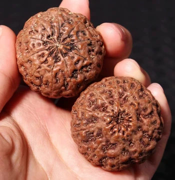 Indonesian Large Vajra Bodhi Seed Hand Ball Pair Raw Ecological Six Seven Eight-Prism Collectible Handle Piece Play Bracelet Chain Explosive Flesh