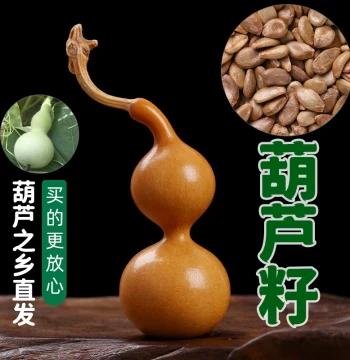 Gourd Seed Collectible Hand-Twisted Eight Treasures Small Gourd Seed Extra Large Gourd Narrow Waist Giant Potted Gourd Seeds Complete Collection