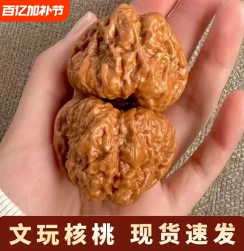 Yanqing Golden Cicada Toad Head Authentic Old Tree Walnuts, Cultural Play Frog Hand-Rolled Piece, Golden Toad Peach Pit Handcraft