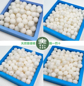 Natural White Bodhi Root Loose Beads, Round, Barrel, and Apple-Shaped Beads for DIY Meditation Bracelets and Malas