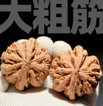 Shanzhongyu Large Vein Walnut Collectible, High-End Pinggu Wild Premium Natural Collector-Grade Hand-Rubbed Antique for Men