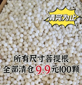 108pcs Natural White Bodhi Root Loose Round Beads for DIY Bracelet, Buddhist Prayer Beads, Women's Wenwen Bracelet