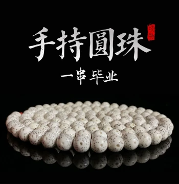 Graduation-Grade Hainan Star and Moon Bodhi 108-Bead High-Polished Round Prayer Bead Necklace for Men and Women