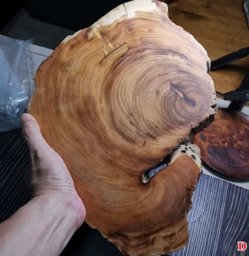 Millennium Taihang Thuja Black Oil Bone Material, Highly Fragrant Solid Wood Coaster, Teapot Mat, Flower Stand, Ornament, Strange Stone Wooden Base for Cultural Play