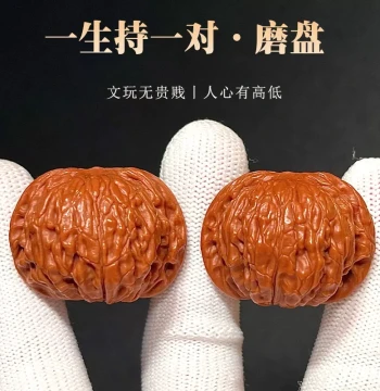 Premium Old-Tree Grinding-Plate Lion's Head Walnuts – Muted Tip Variety for Patina Development and Jade-Like Finish, Collectible Handheld Mazu Walnuts