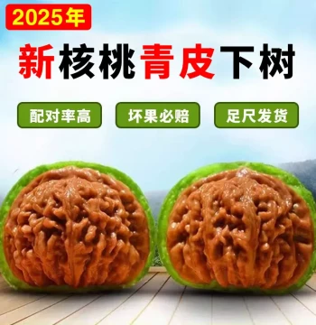 Gambling Green Skin Cultural Play Walnuts, Large Size, Old Tree, Four Towers, Muted Tip Lion Head, White Lion, Qilin Pattern, Official Hat with Skin