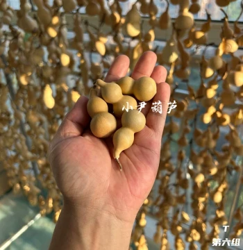 One Item One Photo Natural Jin Nian Tianjin Zui Hand-Rolled Small Eight Treasures Collectible Gourd Handle Piece Finger-Flexible Stress Relief