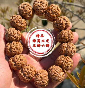 Premium Nepalese Large Rudraksha Bracelet Chain, Explosive Flesh Full Honeycomb Double Dragon Pattern Rudraksha Seeds, Cultural Play Raw Seed Buddhist Beads