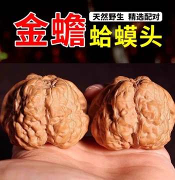 Split-Back Toad Head Wenwan Walnuts, Low-Profile Closed-Tip Old Tree Yanqing Golden Toad Handheld Collectible for Men and Women, Guagua Lion Style
