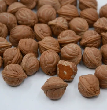2024 Qinling Wild Dragon-Pattern Walnut Carving Raw Material – Red-Skinned Large-Belly Round Bead Stock for Wenwan with Free Shipping