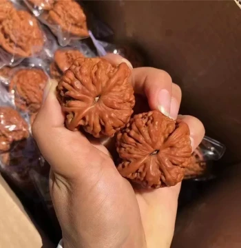 Authentic Tibetan Wenwan Walnuts, Red-Skinned Large Pair, Lion's Head Variety for Hand Palming and Disc Play, Ancient Wheat Ear and Tiger Head Styles