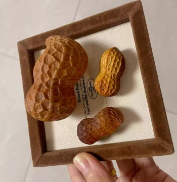 Natural Carved Wooden Peanut Pendant from Aged Thuja Burl - Phone Charm, Accessory, and Small Display Ornament