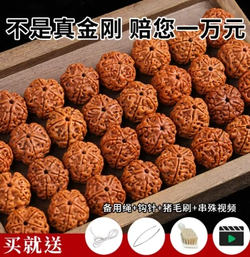 Premium Large Rudraksha Loose Beads from Nepal, Handcrafted DIY Walnut Bodhi Prayer Bead Bracelet Accessories
