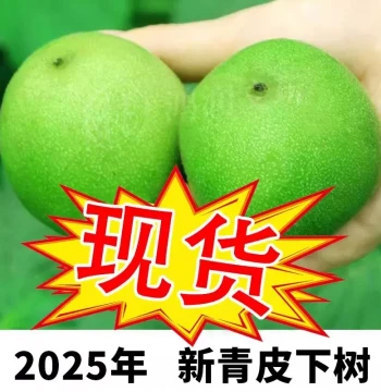 Wild Collected Wenwan Walnuts for Hand Rolling: Green-Husk Gamble, Natural Three-Ridge Lion's Head, Official Hat, Toad Head, and Sizuo Lou Varieties