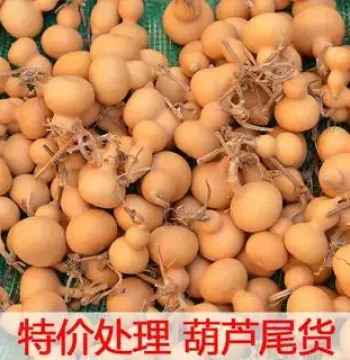 Special Deal Wenwan 4-7cm Small Gourds Clearance Assorted Shapes Flower Skin Exploded Navel Suitable for Practice Pyrography Training