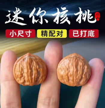 Wild Premium Small Walnuts, Autumn Fruit Hand-Twisted Fingertip Play Mini Walnuts, Between-Fingers Collectible Small Size for Men and Women