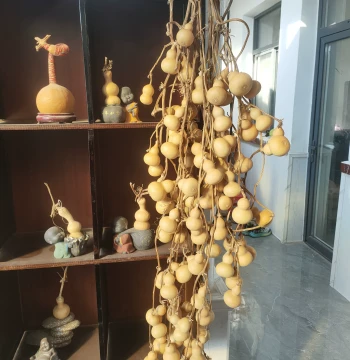 Chaoyue Natural Connected-Branch Gourd, Living Room/Entrance/Tea Room Hanging Ornament, Hand-Rolling Eight Treasures Ant-Textured Small Tianjin-Mouth Shanting Gourd
