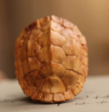 Natural Thuja Wood 'Wealth Under Heaven' Solid Wood Carved Turtle Shell Pendant Wenwan Hand Piece Creative Gift Symbolic Ornament