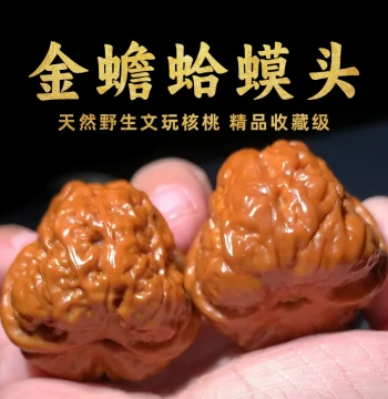 Shanzhongyu Cultural Play Walnuts, Golden Toad Toad Head, Perfect Unrepaired Premium Yanqing Huairou Thick Vein Triangle Frog, Collector Grade