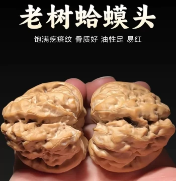 First-Generation Old Tree Yanqing Toad Head Wenwan Walnut Golden Toad Lion Head Muted Tip with Legs and Eyes Opened Back Croaking Collection Piece