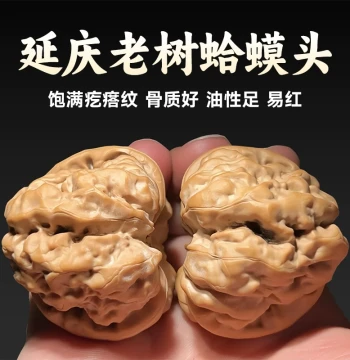 First Generation Old Tree Yanqing Toad Head Collectible Walnut Golden Toad Lion Head Closed Tip with Legs and Eyes Split Back Croaking Collection
