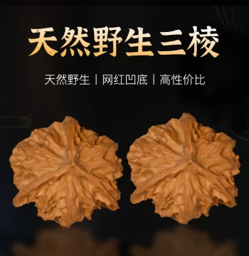 Cultural Play Walnuts Three-Edge Natural Triple-Edge Zhengben Premium Wild Niche Hand-Twisted Hand-Played Hand-Rubbed Handheld Piece Antique