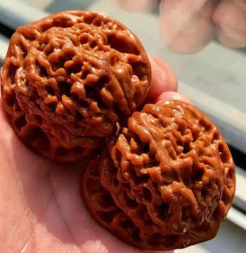 Wenwan Peach Pit Qilin Pattern Official Hat Sizuo Lou Lion's Head Triangle White Apple Orchard Machine-Brushed Patina Hand-Rolled Walnuts