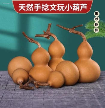 Dried Gourd Pendant with Dragon Head Handle, Naturally Grown Wooden Gourd for Home and Living Room Decoration