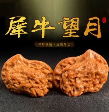 Wenwan Wild Niche Irregular Rhino Gazing at the Moon Lion's Head Hand Play Piece, Walnut Selected from Old Trees, Matched New Fruit