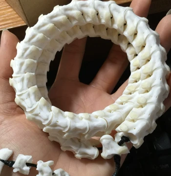 Natural Snake Bone Bracelet, Original Imported High-Density Accessory, Couple's Prayer Beads, Handmade Birthday Gift