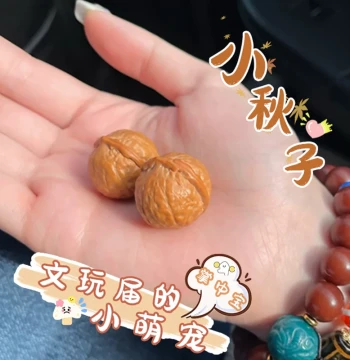 Premium Collectible Walnuts, Mini Autumn Seeds for Finger Twisting, Compact Hand-Held Play Piece, High-Polish Small-Size Walnuts for Women