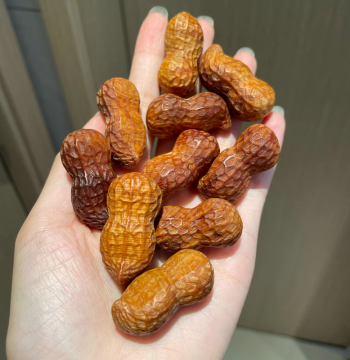 Natural Wood Carved Peanut Aged Old Material Thuja Peanut Pendant Phone Accessory Small Ornament Wenwan Accessory