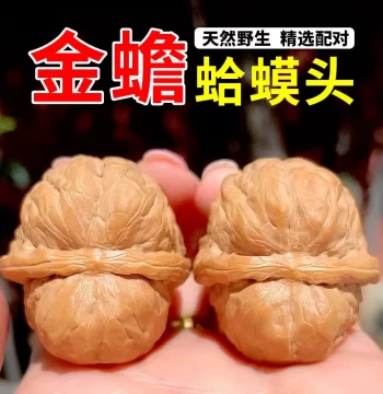 Premium Split-Back Toad Head Collectible Walnuts, Low-Profile Closed Tip, Old Tree Yanqing Golden Toad, Collector Grade for Men and Women