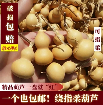 Wenwan Small Gourd Seed Finger Flexibility Jade-like Colored Gourd Play Piece with Dragon Head Men Natural Premium Ornament