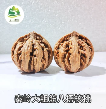 Qinling Wild Thick-Vein Qiuzi Hand-Rolled Wenwan Walnut Qiuzi Wild Autumn Seed Stress Relief Toy