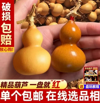 Natural Small Hand-Rolled Gourd - Premium Select Flexible Finger Gourd with Proper Stem, Plump Grass-Gold String
