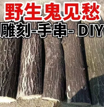Wild 'Ghost Fears' Wooden Stump for Carving, Home Protection, DIY Bracelets, Prayer Beads, and Wenwan Accessories