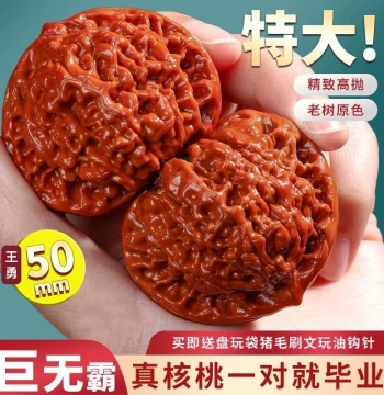 Collectible Walnuts Qilin Pattern Official Cap Wild Walnuts 50-55mm Unpolished Low-Profile Wang Yong Variety