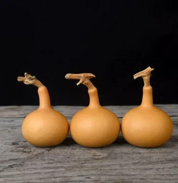 Natural Small Single Gourd Hand-Twisted Small Gourd Hand-Held Gourd Irregular Single Garlic-Head Single-Belly Gourd Pigeon Whistle Gourd