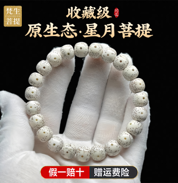 Genuine Hainan Star-Moon Bodhi Bracelet, Authentic Raw Ecological State, Bright Moon Sparse Stars, Smooth White with Large White Spaces, High Density Single-Loop Collectible