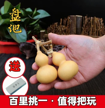 Natural Hand-Twisted Mini Gourd, Premium Collectible Extra-Small Gourd Hand Piece with Stem, 'Grass Gold' Play Gourd
