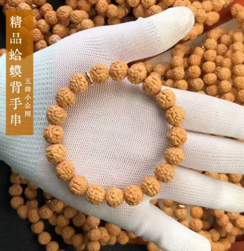 Toad Back Explosive Flesh Small Rudraksha Seed Bracelet Accessory for Men, Walnut Raw Seed Collectible Buddhist Beads, Single Loop Playable Wristband